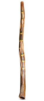 Heartland Didgeridoo (HD353)